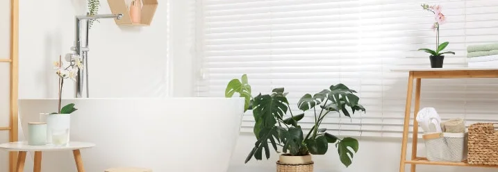 Helles Badezimmer mit Pflanzen